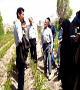 منابع آزمون کارشناسی ارشد -مهندسی کشاورزی علوم باغبانی