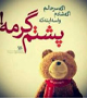 ماجرای تأسیس دانشگاه آزاد و برگزاری دادگاه یک آقازاده از زبان سیدمهدی شجاعی +صوت