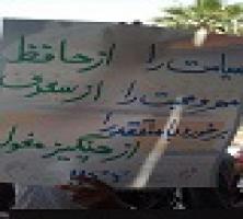 جنبش مطالبه فکت شیت بعد از نماز جمعه بوشهر/ پلاکاردهای دانشجویان: «آیا ضرب و شتم دانشجویان مروت بود؟» +تصاویر