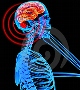 اثرات منفی امواج گوشی‌های همراه در بدن انسان