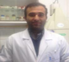 کشف مهم محقق «ایرانی» برای درمان کبدهای چرب