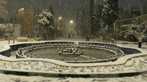 کوی دانشگاه تهران پس از برف شب گذشته