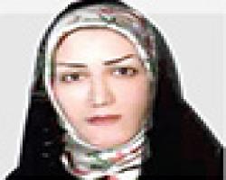 باتلاق Postdoc (پسادکتری)