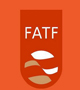 تبعات اقتصادی، اجتماعی و امنیتی پیوستن به FATF برعهده دولت و مجلس است