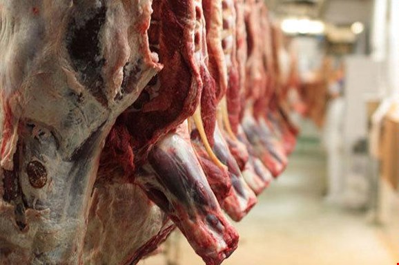 عرضه گوشت گاو منجمد وارداتی با ۶۵ درصد افزایش قیمت