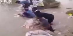 ویدئویی تاسف‌آور از ایجاد سدبند انسانی در غزاویه