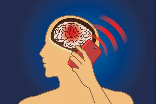 تاثیر تلفن همراه روی ماده خاکستری مغز چیست؟