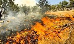 آتش‌سوزی گسترده در جنگل‌های بهبهان