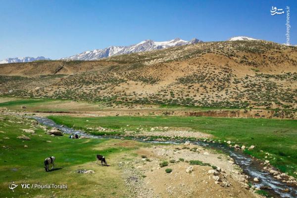 دامپروری در ایل بختیاری