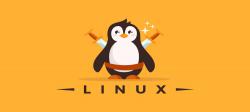 ۸ توزیع لینوکسی قابل اجرا روی همه سیستم‌ها +دانلود