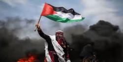 کلیپ جدید «فلسطین» با صدای حامد زمانی