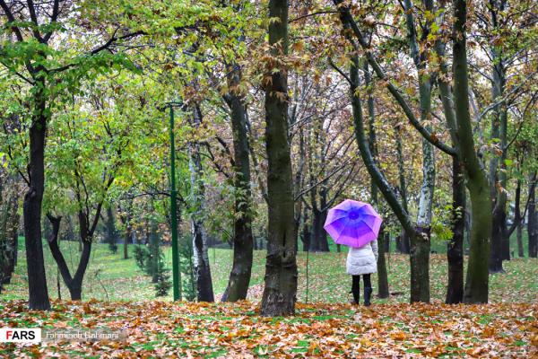 تصاویر:: بازگشت رنگ‌ها به تهران با باران پاییزی