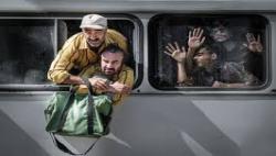 ببینید|انتقاد مجری از شیشلیک محمدحسین مهدویان