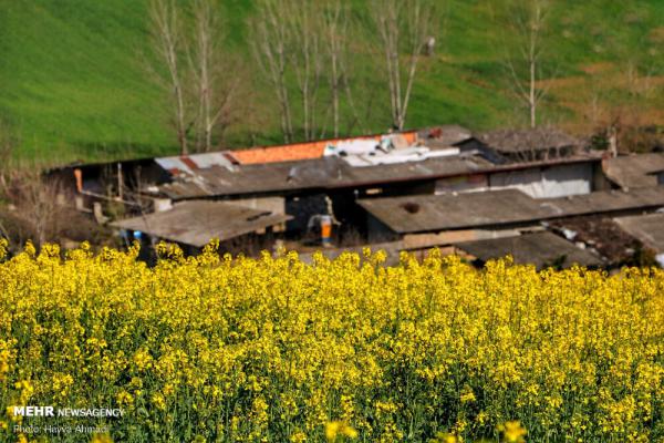 تصاویر مخصوص بک‌گراند کامپیوتر از طبیعت ایران