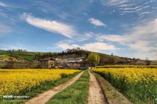 تصاویر مخصوص بک‌گراند کامپیوتر از طبیعت ایران