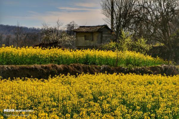تصاویر مخصوص بک‌گراند کامپیوتر از طبیعت ایران