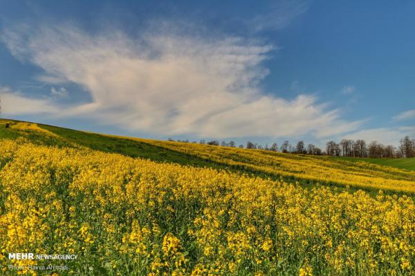 تصاویر مخصوص بک‌گراند کامپیوتر از طبیعت ایران