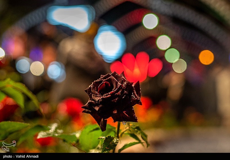 تصاویر| آذین‌بندی خیابان‌های تهران به مناسبت نیمه شعبان