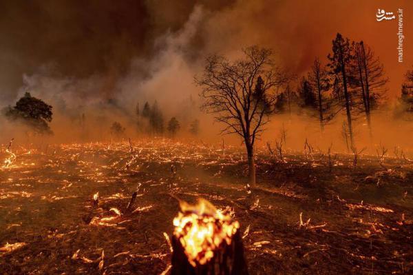 تصاویر وحشتناک از آتش سوزی در کالیفرنیا