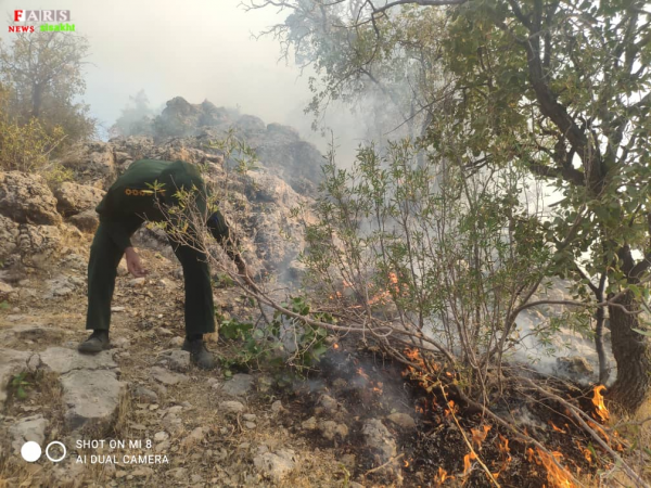 تصاویر| جنگل‌های سی‌سخت در آتش سوخت