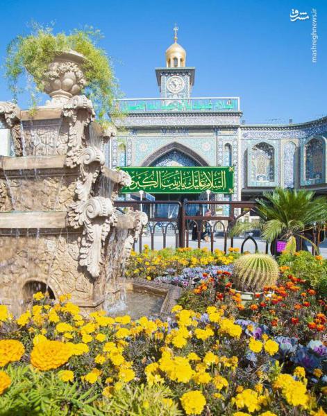 تصاویر| کربلا در آستانه ولادت حضرت زینب(س)