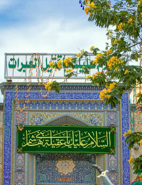 تصاویر| کربلا در آستانه ولادت حضرت زینب(س)