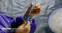 فیلم| ورود ارباب رجوع به ادارات فقط با کارت واکسن