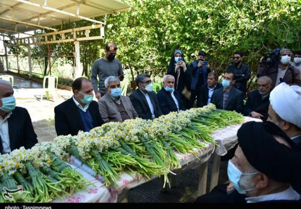 تصاویر| اهدای هزاران شاخه گل نرگس به حرم امام حسین(ع) و حضرت ابوالفضل(ع)