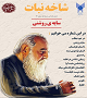 نخستین شماره نشریه دانشجویی «شاخه نبات» منتشر شد+دانلود