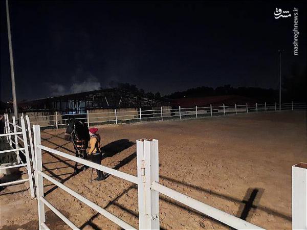 تصاویر| اصطبل اسب‌های پارک چیتگر درآتش سوخت