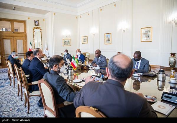 تصاویر| دیدار وزیر امور خارجه توگو با امیر عبداللهیان