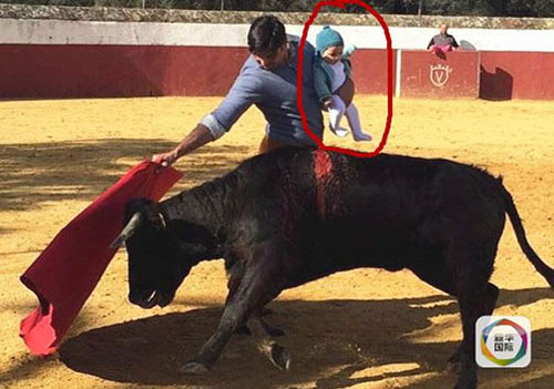 فیلم | انتقاد عکاس اسپانیایی از نحوه رفتار با گاوها