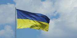 با وجود حواشی اوکراین، برای تامین غلات نگرانی وجود ندارد