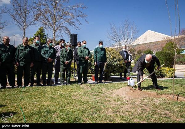 کاشت یک اصله نهال توسط قالیباف