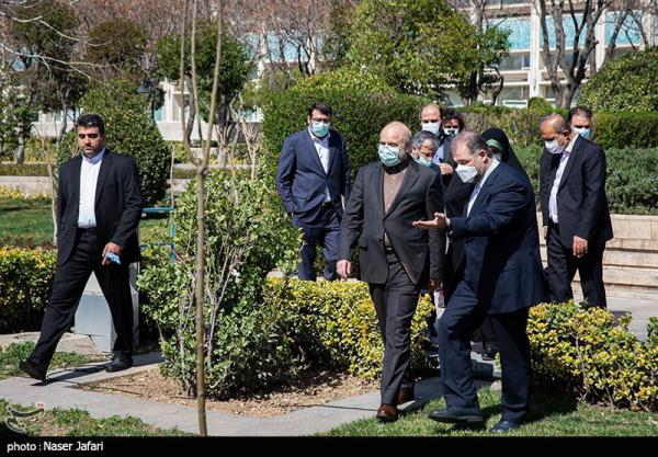 کاشت یک اصله نهال توسط قالیباف