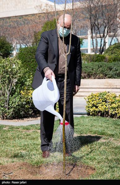 کاشت یک اصله نهال توسط قالیباف