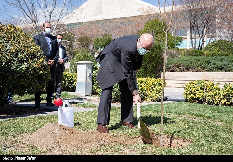 کاشت یک اصله نهال توسط قالیباف