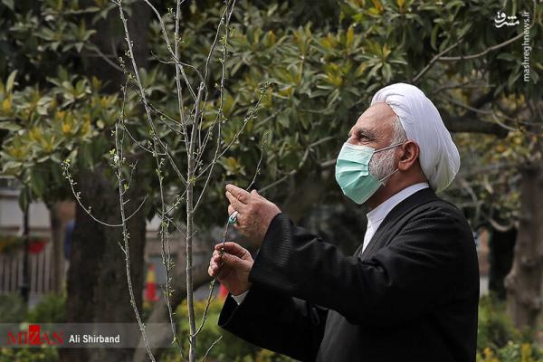 تصاویر| کاشت نهال توسط غلامحسین محسنی اژه‌ای