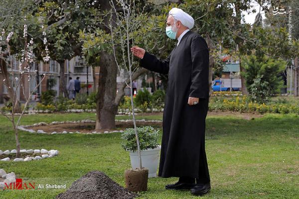 تصاویر| کاشت نهال توسط غلامحسین محسنی اژه‌ای