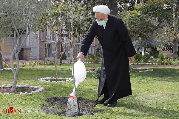 تصاویر| کاشت نهال توسط غلامحسین محسنی اژه‌ای