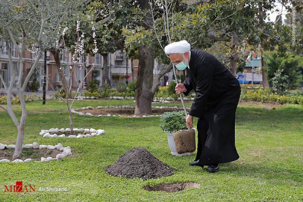 تصاویر| کاشت نهال توسط غلامحسین محسنی اژه‌ای