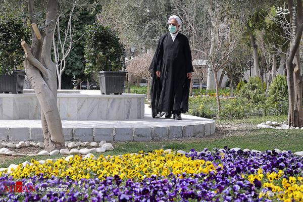 تصاویر| کاشت نهال توسط غلامحسین محسنی اژه‌ای