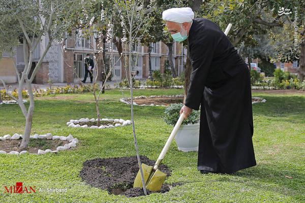 تصاویر| کاشت نهال توسط غلامحسین محسنی اژه‌ای