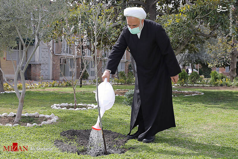 تصاویر| کاشت نهال توسط غلامحسین محسنی اژه‌ای