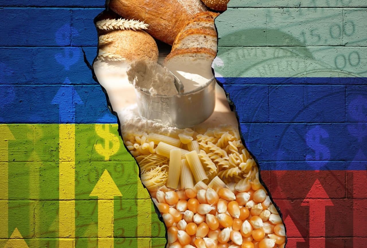 اثر جنگ اوکراین بر امنیت غذایی ایران و جهان/ دولت بحران آینده را مدیریت کند