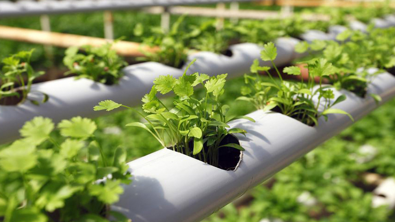 بیانیه نمایندگان در اعلام تبعیت از بیانات رهبر انقلاب درباره بخش کشاورزی دانش بنیان