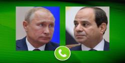 رئیس جمهور مصر درباره بحران اوکراین با «پوتین» گفت و گو کرد