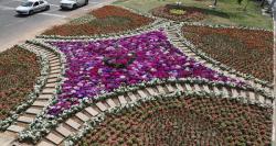 ایجاد بزرگ‌ترین فرش گل پایتخت در بهشت زهرا