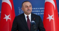ترکیه: شورای امنیت سازمان ملل نیازمند اصلاحات جدی می باشد