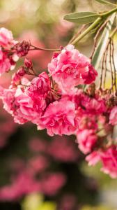 ۱۰ والپیپر ساده برای گوشی +دانلود